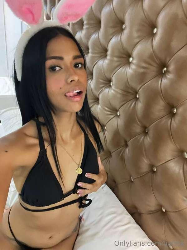 Bad bunny🐇