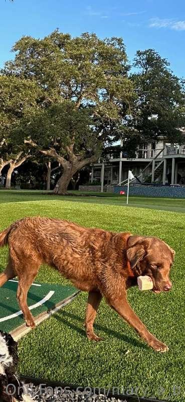 When you have a pup like this, every walk becomes a tail-wag..