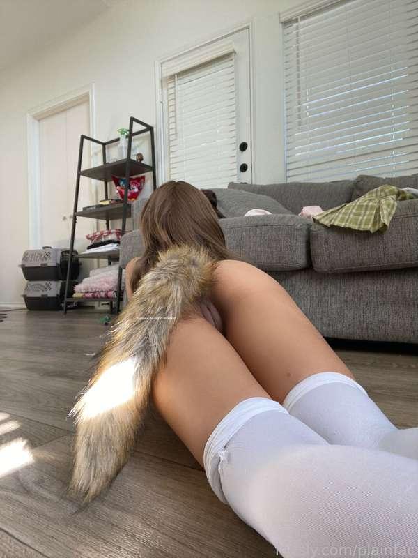 plainfac image #14