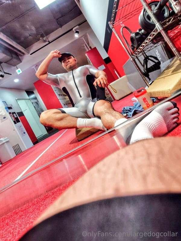 largedogcollar image #0