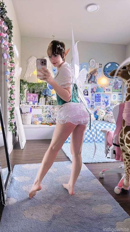 indigowhite image #391