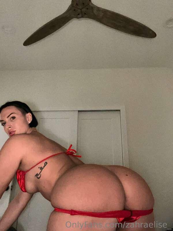 Assume the position...
