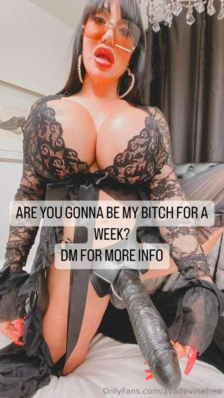 JOIN MY VIP PAGE TO BE MY SLAVE FOR A WEEK!! 
https://onlyfa..