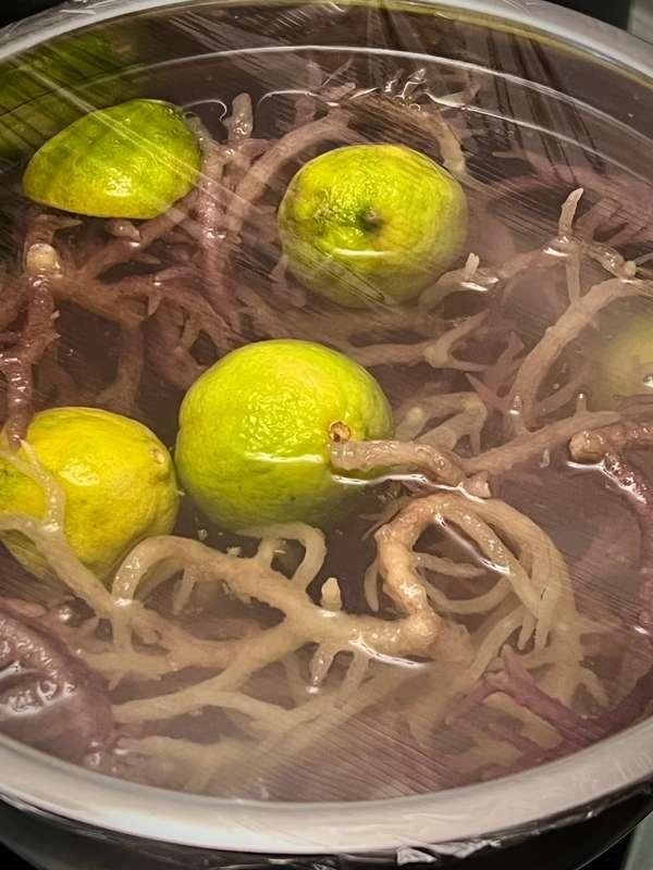 Soaking this superfood for just a few more hours ⏰ Sea moss ..
