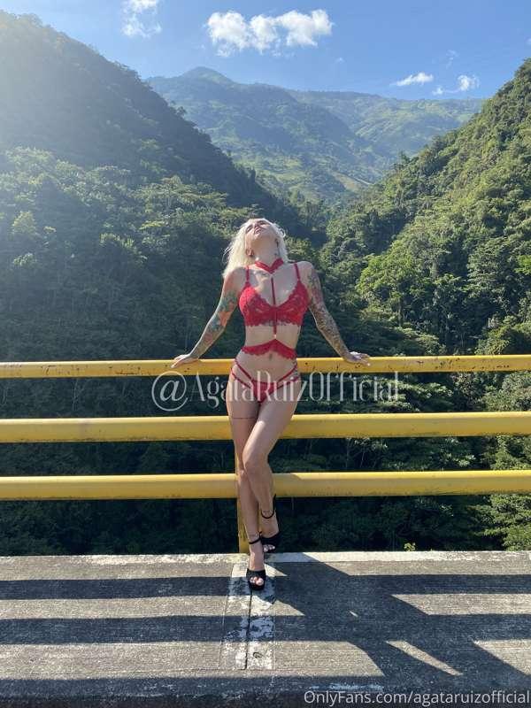 do you like the view ?