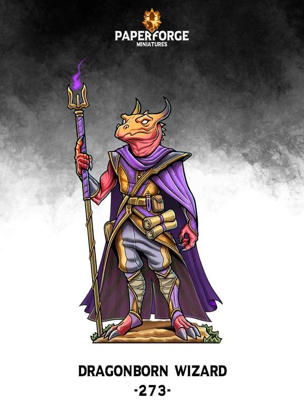 # 273 Dragonborn Wizard