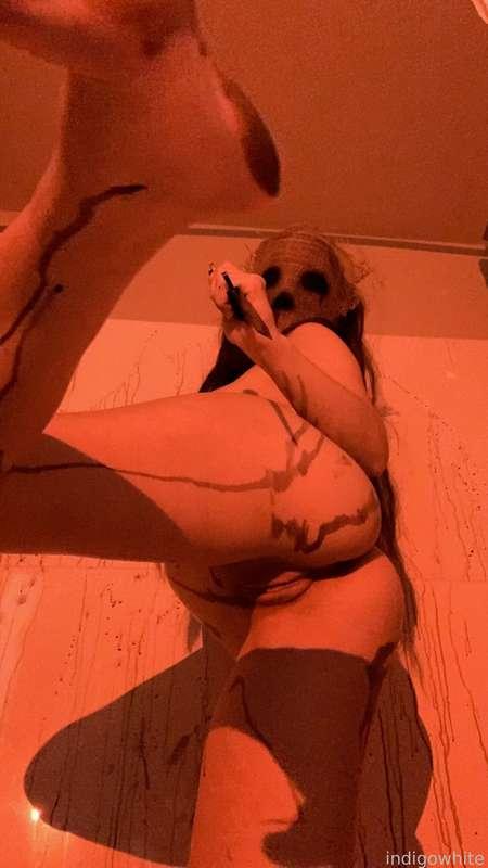indigowhite image #24