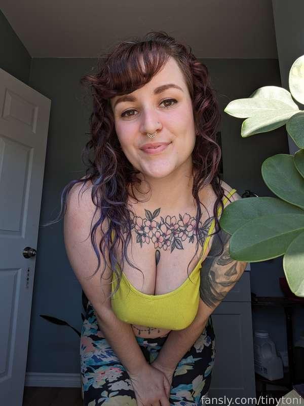tinytoni image #1