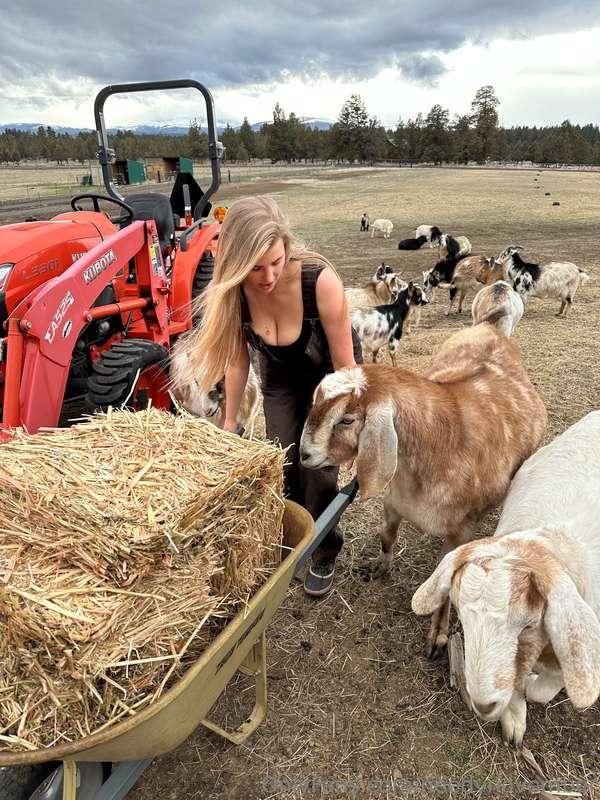 needynovember image #0