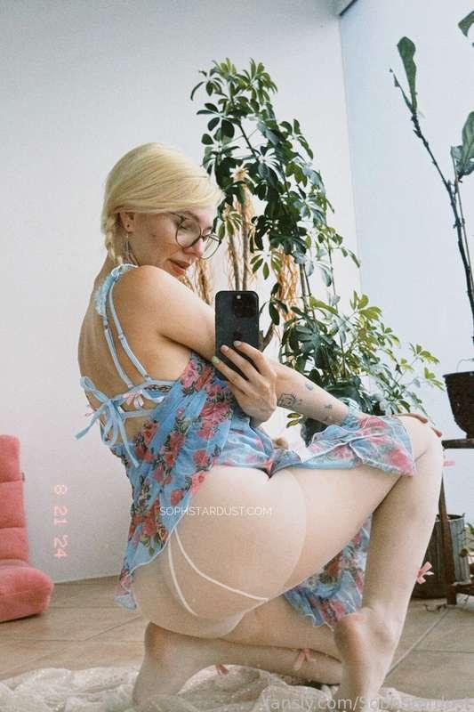 sophstardust image #2