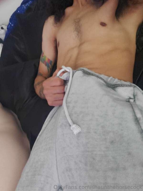 shaunthehorsecock image #0