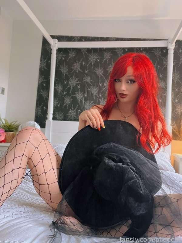 pixiecat image #27