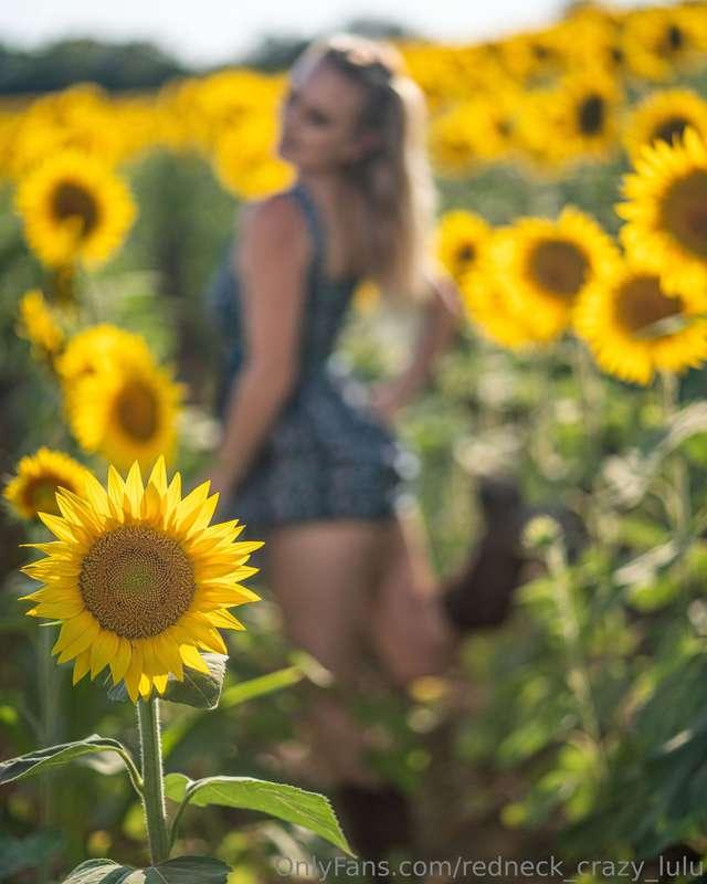 Cannot wait to get cheeky in the sunflower fields this year!..