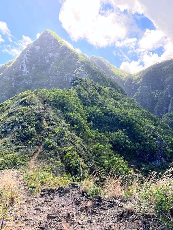 One of the greatest views I have ever seen 💚 