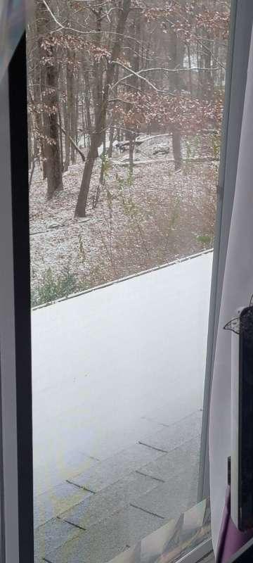 I woke up to snow!