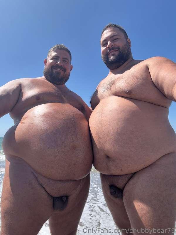 chubbybear79 image #1