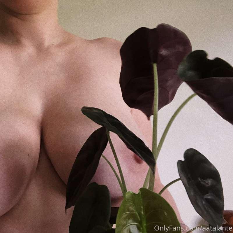 Plants are great 🌸