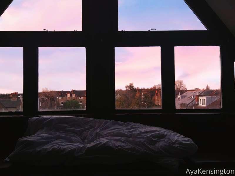 Baby, join me for a sunset cuddle? We'll lay next to each ot..