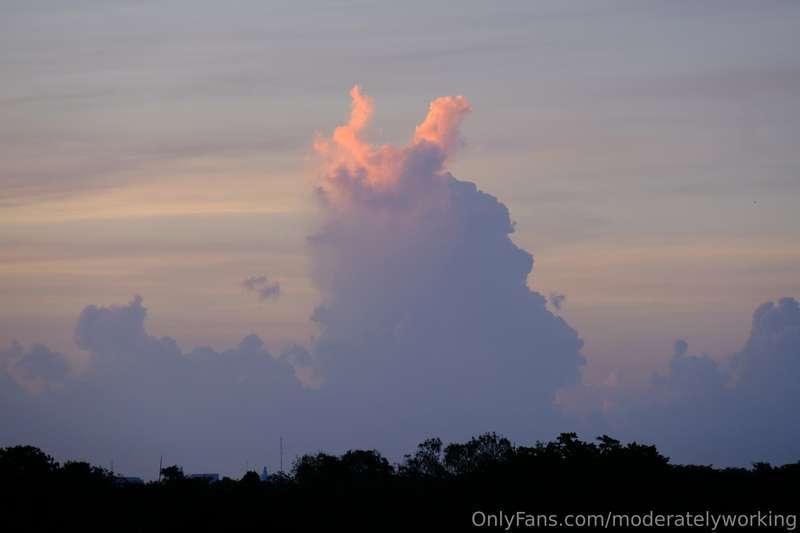 moderatelyworking image #1