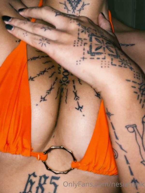 🍊🍊🍊
