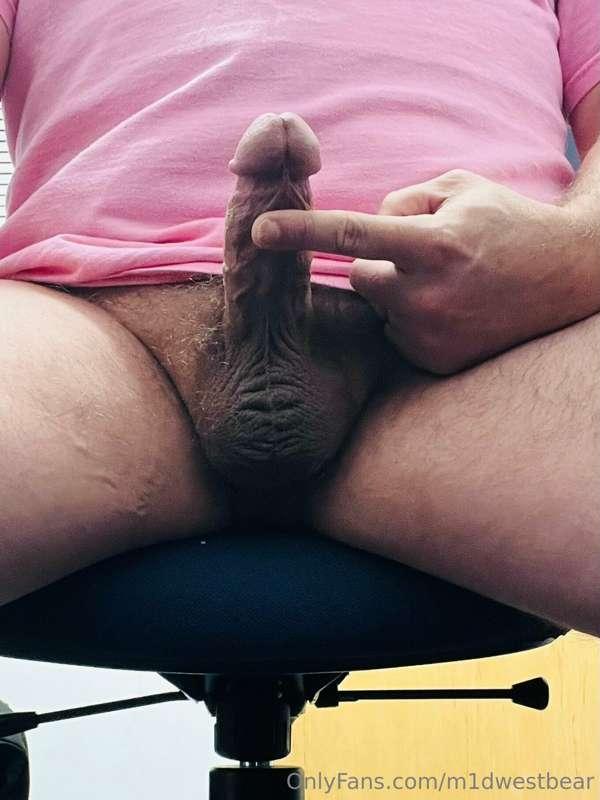 m1dwestbear image #5