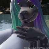 lewdwhaleshark