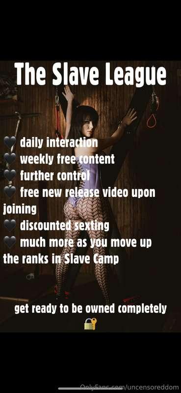 🖤 The Slave League is now accepting new members! Limited spo..