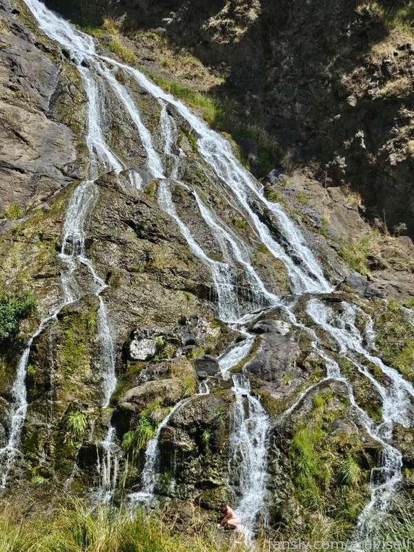 araviss image #3