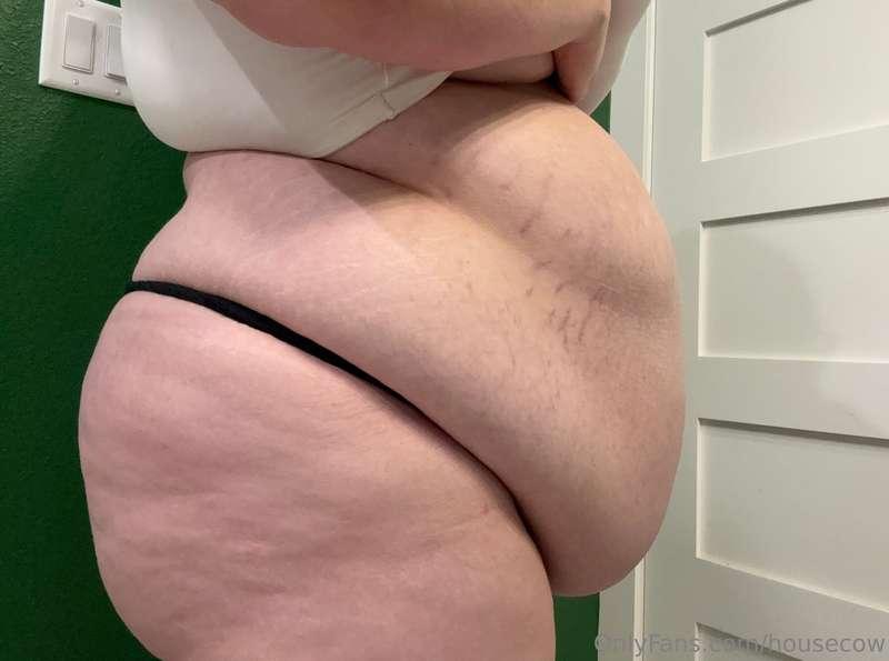 housecow image #3