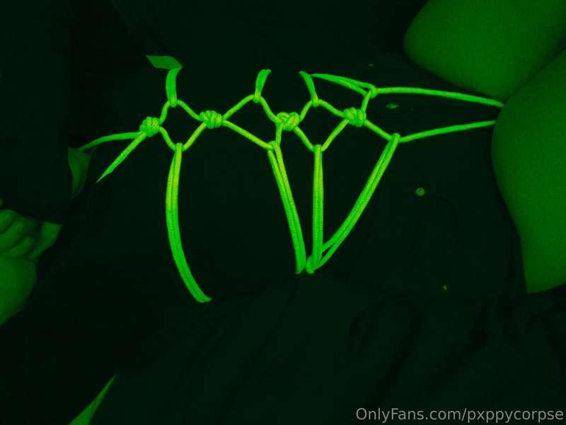 pxppycorpse image #15