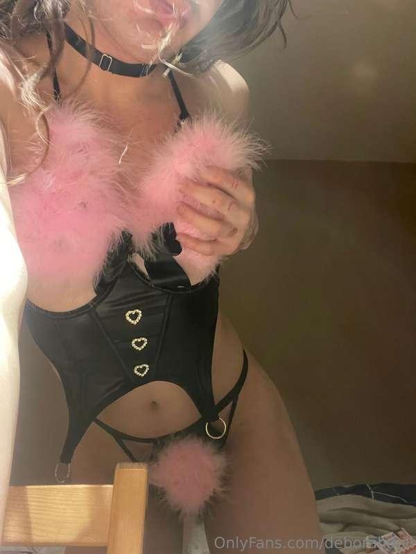 🦩