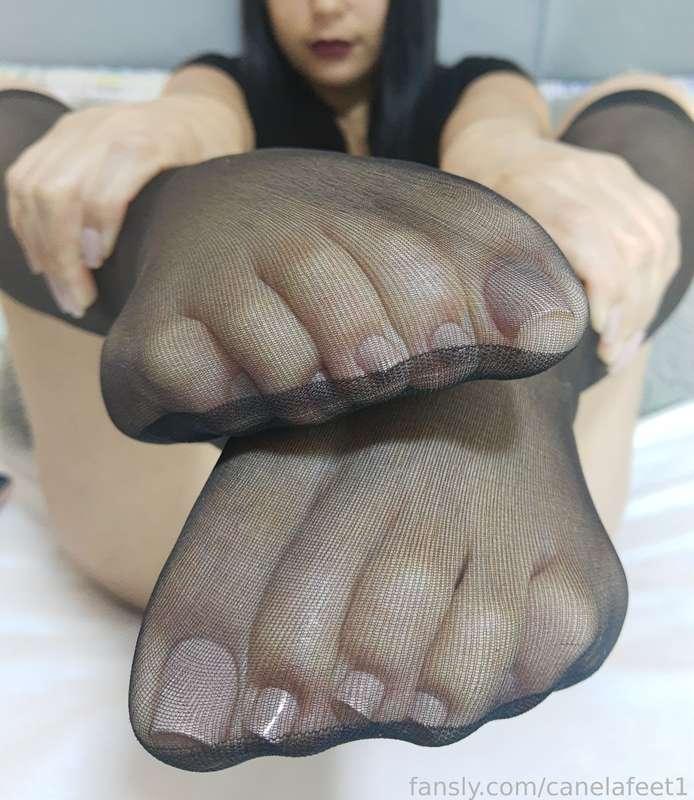 canelafeet1 image #3