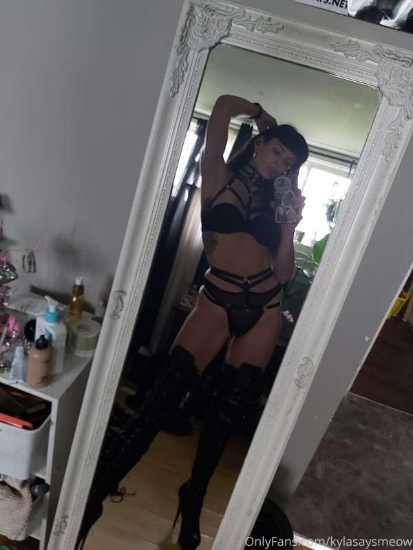 kylasaysmeow image #0