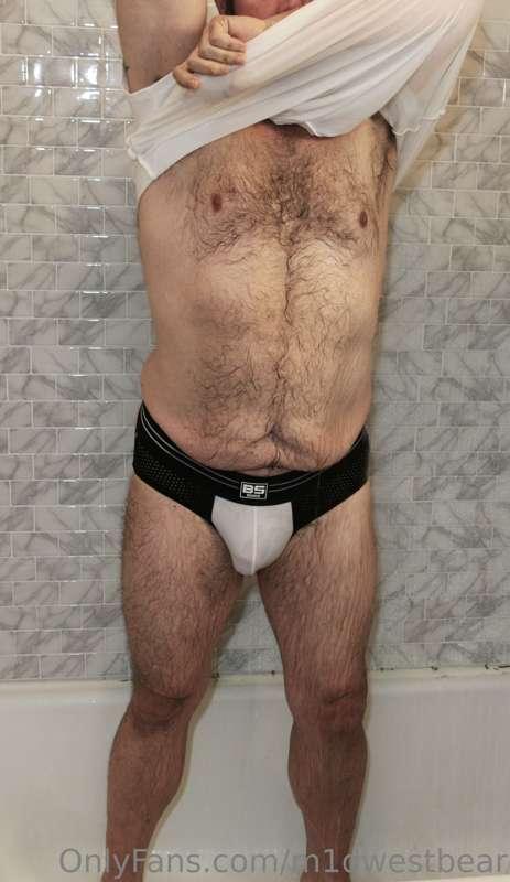 m1dwestbear image #5