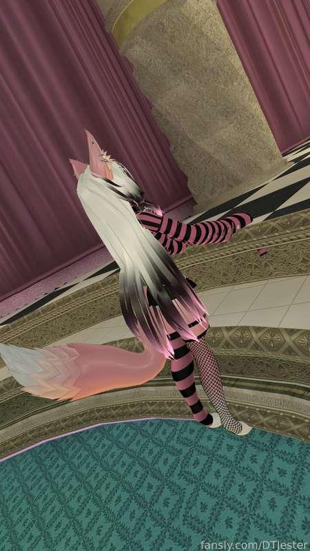 dtjester image #7