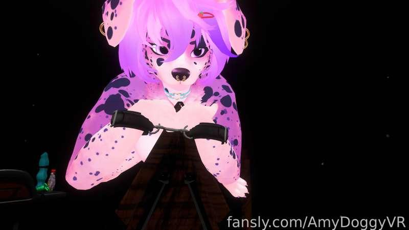 amydoggyvr image #11