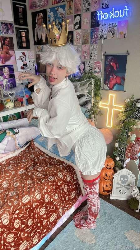 indigowhite image #229