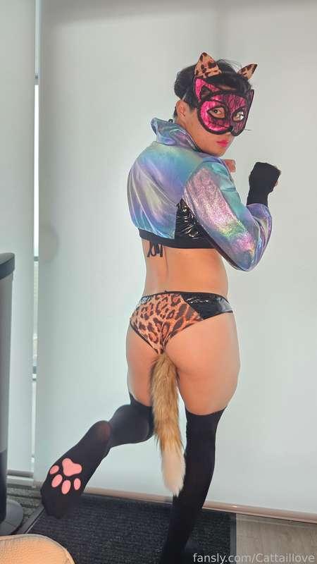 cattaillove image #16