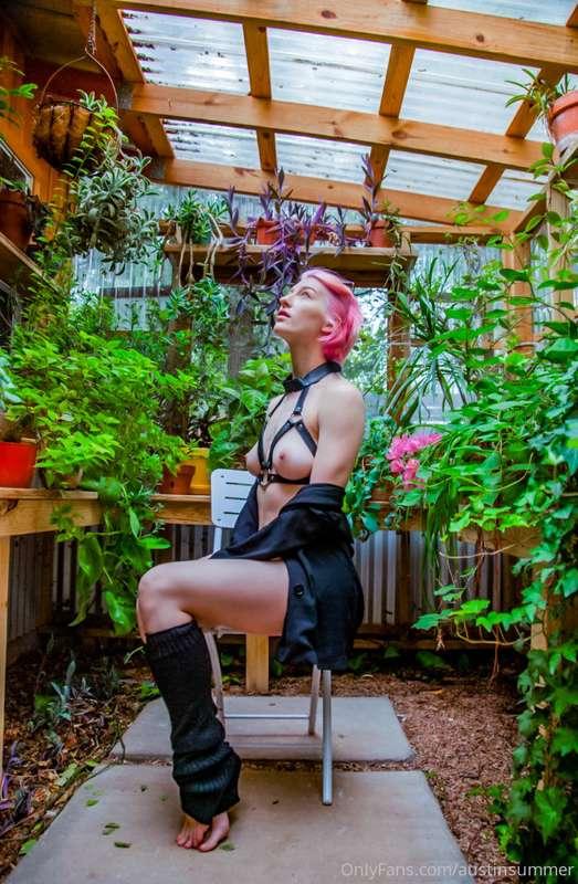 I wish I had a greenhouse like this.. maybe someday.. *big p..