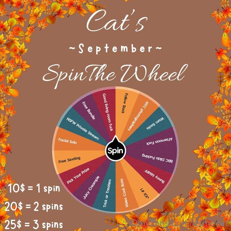 💛🧡 ***CAT’s SEPTEMBER WHEEL*** 🧡💛 Welcome back to my monthly..