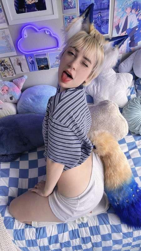 indigowhite image #58
