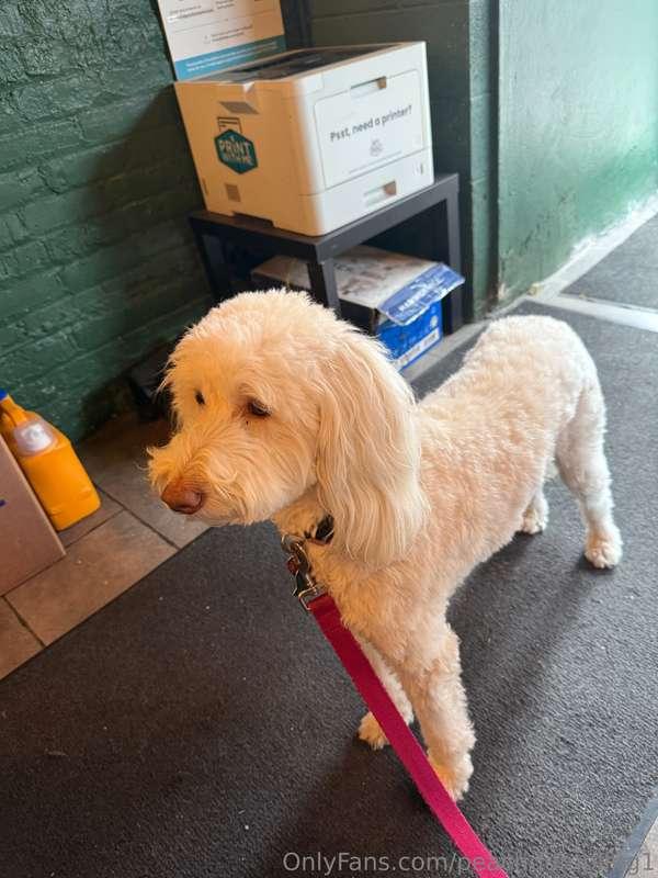 Took Lily to a dog cafe and then we went to the park where s..