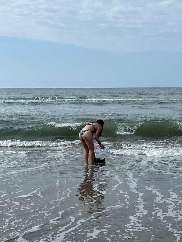 vivi_lane image #8