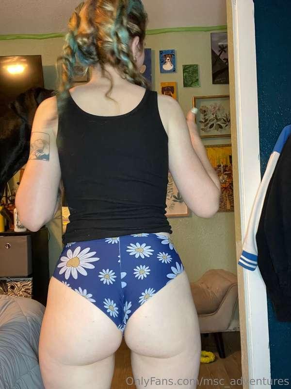 msc_adventures image #2