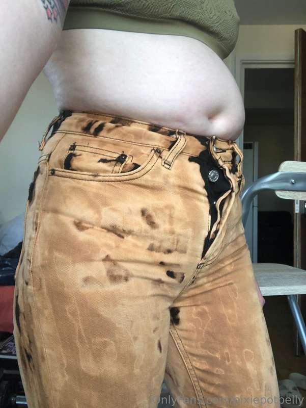 pixiepotbelly image #0