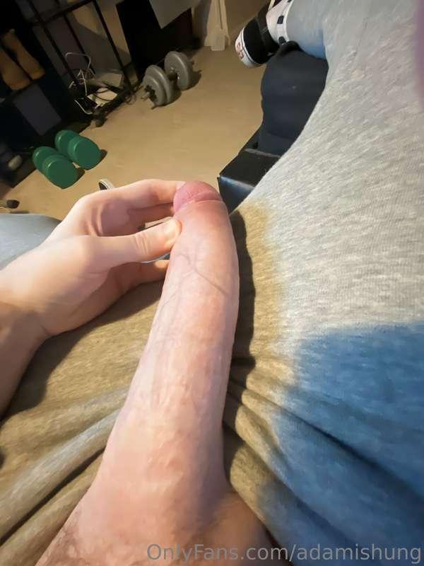 adamishung image #2