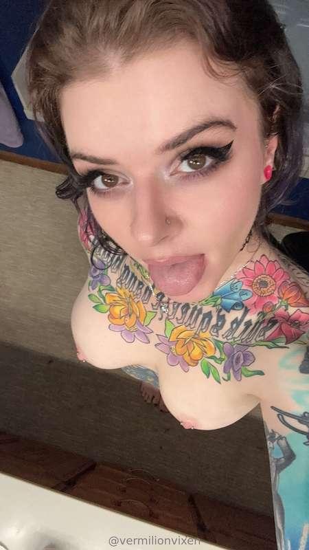 vermilionvixen main image