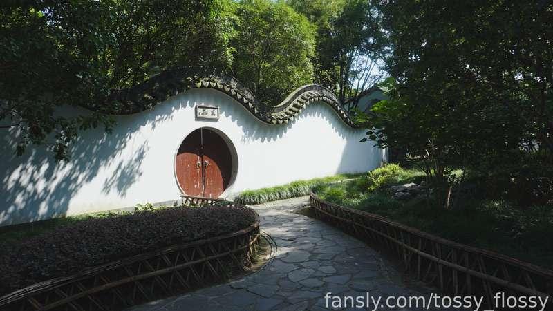 tossy_flossy image #0