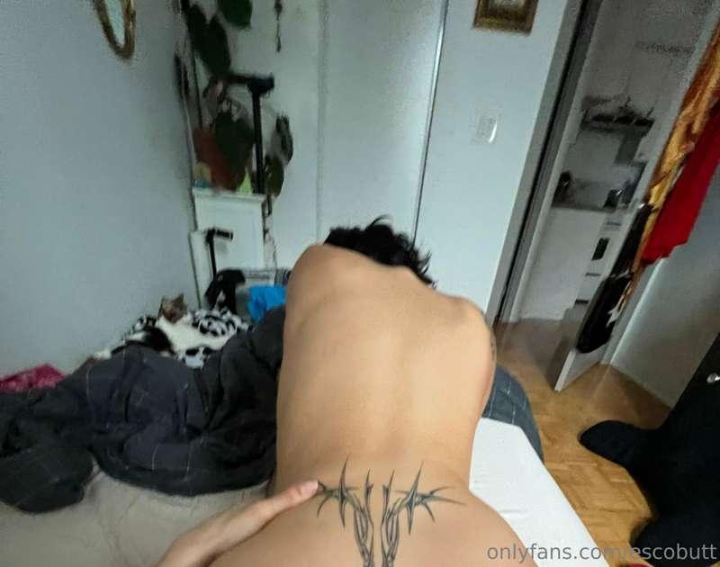 peek a boooooo