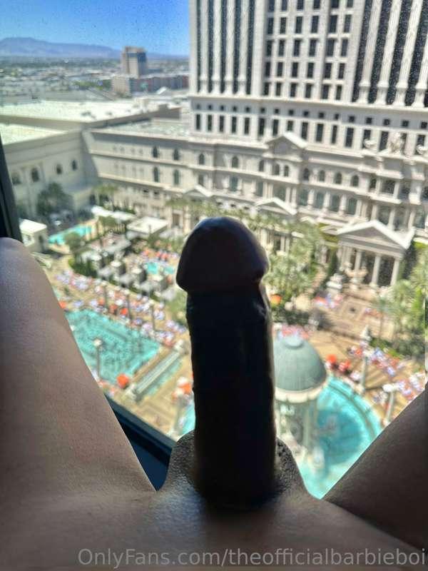 Enjoying the view